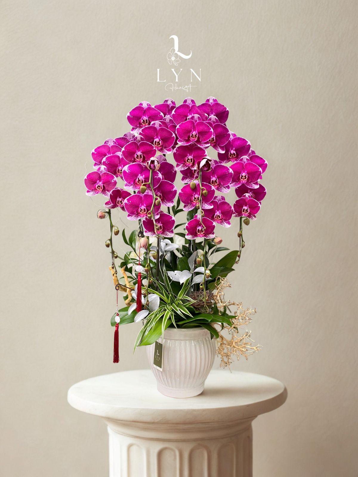 Chậu Hoa Lan Hồ Điệp Tím Địa Chủ